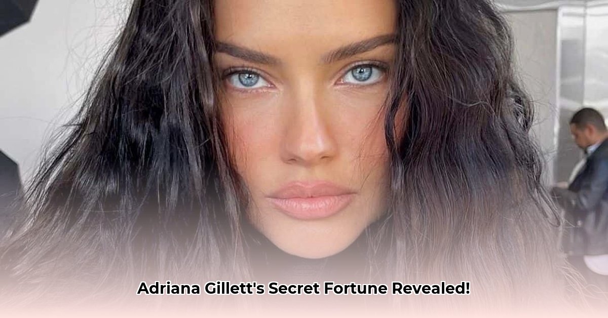 adriana-gillett-net-worth
